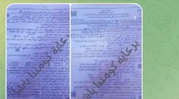 شاومينج يوزع امتحان الشهادة الإعدادية في عدة محافظات.