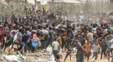 فلسطينيون يتحدثون عن توزيع المساعدات الأمريكية في غزة: فوضى، عنف، وإذلال