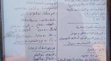 إجابات امتحان اللغة العربية للصف الإعدادي في محافظة القليوبية لعام 2025