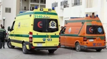 12 شخصًا يتعرضون للإصابة في حادث overturn لميكروباص في الشرقية