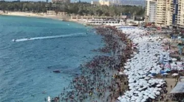 بعد العاصفة المروعة.. عالم فضاء مصري: إسكندرية بالفعل تغرق.. وليس علينا الانتظار لرؤية المستقبل.