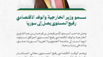 وصول وزير الخارجية مع وفد اقتصادي رفيع إلى دمشق في زيارة رسمية