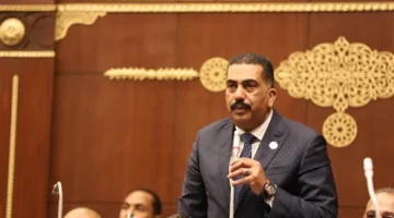 النائب هشام سويلم: مصر تحت قيادة الرئيس السيسي في مقدمة المدافعين عن حقوق الفلسطينيين