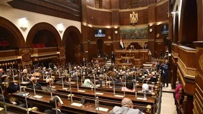 النائبة حياة خطاب: بناء 22 مستوطنة جديدة في الضفة الغربية “خرق واضح” لحقوق الإنسان وتقويض لعملية السلام