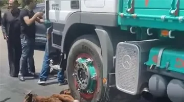 حادثة أليمة: شاحنة تصيب 20 رأساً من الأغنام أثناء عيد الأضحية في الغربية