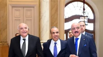 «8 نقاط رئيسية».. ما الذي تم توضيحه في البيان الختامي لاجتماع وزراء الخارجية لمصر وتونس والجزائر حول الوضع في ليبيا؟