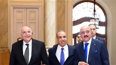 «8 نقاط رئيسية».. ما الذي تم توضيحه في البيان الختامي لاجتماع وزراء الخارجية لمصر وتونس والجزائر حول الوضع في ليبيا؟