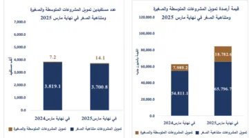 زيادة أرصدة تمويل المشاريع الصغيرة والمتوسطة ومتناهية الصغر إلى 84.6 مليار جنيه في الربع الأول