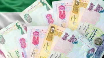 أسعار صرف الدرهم الإماراتي مقابل الجنيه اليوم السبت 31 مايو 2025