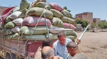 محافظ المنيا: تسليم 483 ألف طن من القمح منذ انطلاق موسم 2025
