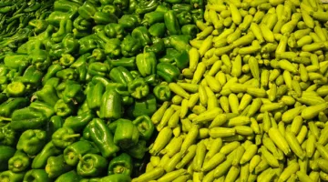 وزارة البلدية: الإنتاج المحلي يلبي 100% من احتياجات السوق من الخضروات خلال ذروة الإنتاج.