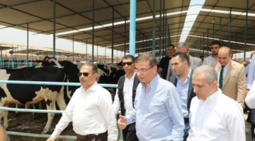 وزير الزراعة ورئيس البنك الزراعي يطلقان المرحلة الثانية من مشروع “إحلم”