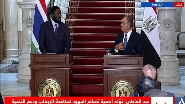 بدر عبدالعاطي: ضرورة إنهاء الحرب المدمرة في غزة والاعتراف بالدولة الفلسطينية فوراً