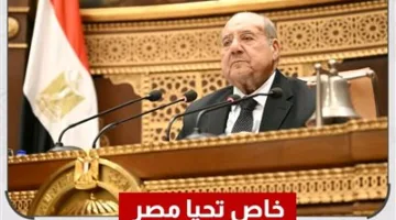 مصر الغالية: تعليق استقبال أو تسليم أي أدوات رقابية لأعضاء مجلس الشيوخ
