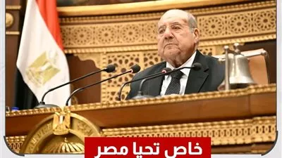 مصر الغالية: تعليق استقبال أو تسليم أي أدوات رقابية لأعضاء مجلس الشيوخ