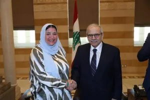 الدكتورة عبير عصام تقترح تأسيس منطقة صناعية لبنانية في مصر.