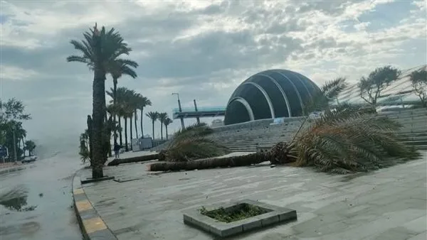 محافظة الإسكندرية تكشف عن الأضرار الناتجة عن العاصفة حتى اللحظة محافظة الإسكندرية تكشف عن الأضرار الناتجة عن العاصفة حتى اللحظة