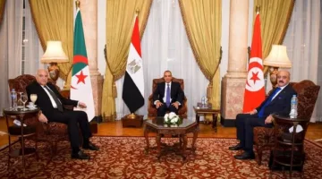 وزير الخارجية يعقد اجتماعًا للآلية الثلاثية مع دول الجوار بشأن ليبيا