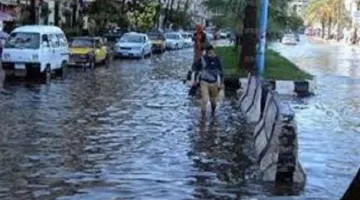 برنامج حياة كريمة يبدأ إجراء المسح الميداني في المناطق المتضررة بالإسكندرية