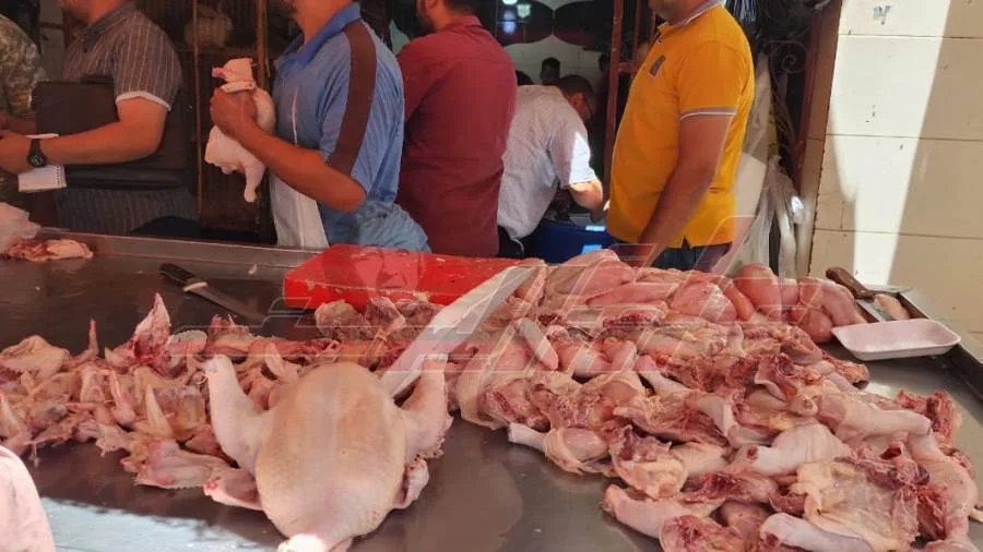 ضبط دواجن مذبوحة خارج المسلخ الحكومي في كفر الشيخ ضبط دواجن مذبوحة خارج المسلخ الحكومي في كفر الشيخ