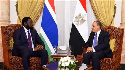 وزير الخارجية: الاضطرابات في ليبيا والسودان تؤثر بشكل مباشر على الأمن القومي لمصر
