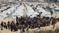 عاجل| “حماس”: قدمنا اليوم ردنا على اقتراح المبعوث الأمريكي بخصوص النزاع في غزة.