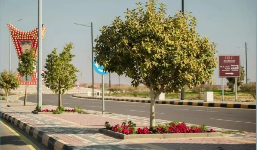أمانة الجوف تزرع أكثر من 55800 شجرة في خمس بلديات فرعية أمانة الجوف تزرع أكثر من 55800 شجرة في خمس بلديات فرعية