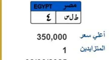 بـ350 ألف جنيه.. عرض لبيع لوحة سيارة فريدة (ط ل س-4) في مزاد