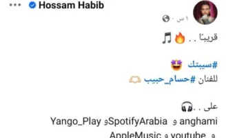 حسام حبيب يثير حماس جمهوره بأغنيته الجديدة “سيبتك”