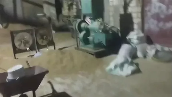 التحقيق في مصنع لإنتاج التوابل من الحبوب بطرق غير صحية في بني سويف