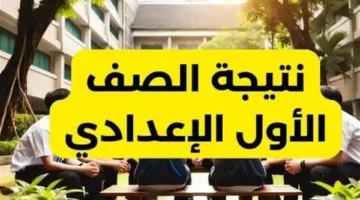 نتائج الصفين الأول والثاني الإعدادي 2025 الترم الثاني في القاهرة… تحقق برقم الجلوس