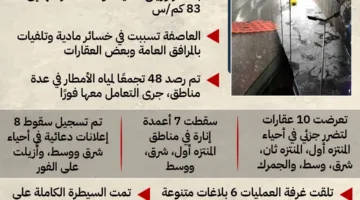 معلومات عن حجم الأضرار الناجمة عن عاصفة الإسكندرية