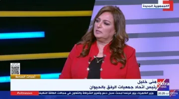 رئيس اتحاد رفاهية الحيوان: لا يمكننا تحديد عدد الكلاب المشردة في مصر