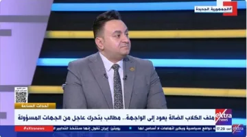 وكيل “الأطباء البيطريين”: ضرورة إجراء إحصاء ميداني للكلاب، سواء كانت ضالة أو مملوكة للأفراد.