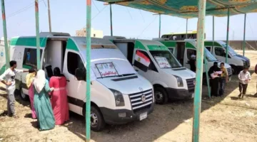 فحص 287 حالة من المستحقين للرعاية في قافلة طبية بمحافظة الغربية