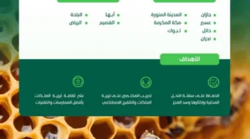 190 مليونًا لتقديم الدعم للنحَّالين و7 مراكز لتربية الملكات
