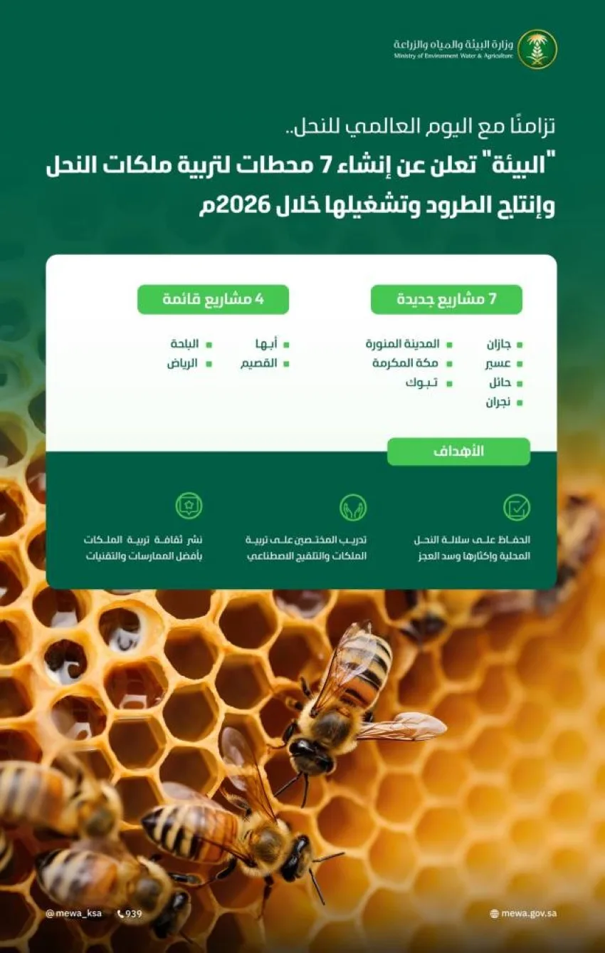 190 مليونًا لتقديم الدعم للنحَّالين و7 مراكز لتربية الملكات 190 مليونًا لتقديم الدعم للنحَّالين و7 مراكز لتربية الملكات