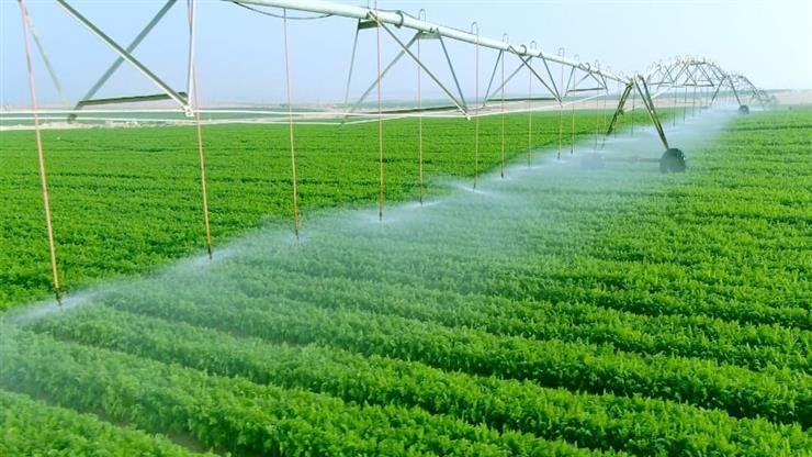 مسئول بمؤسسة التمويل الدولية: نستثمر مليار دولار بالمشروعات الزراعية في مصر خلال 2025