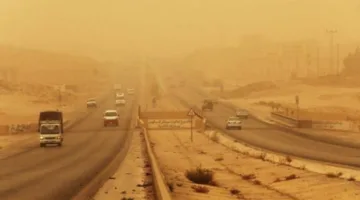 رياح قوية محملة بالأتربة تضرب الطريق الصحراوي وأحياء سكنية في الفيوم