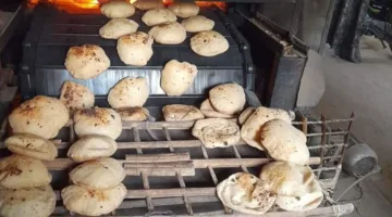 محافظ المنيا: القبض على 200 انتهاك خلال حملات تفتيشية على المخابز والأسواق
