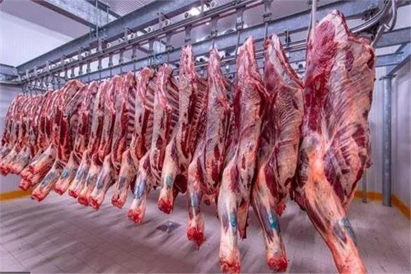 نقيب الجزارين يقدم نصائح لشراء أضحية العيد ويكشف الأسعار: كيلو اللحم بـ 390 جنيها والضأن بـ 220 جنيها. نقيب الجزارين يقدم نصائح لشراء أضحية العيد ويكشف الأسعار: كيلو اللحم بـ 390 جنيها والضأن بـ 220 جنيها.