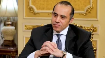 محمود فوزي: تغييرات قوانين الانتخابات تهدف إلى تأمين استقرار النظام البرلماني
