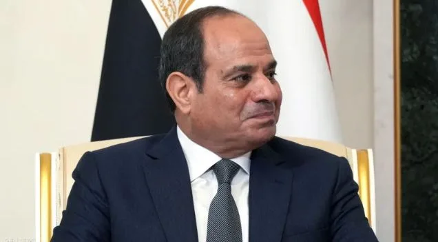 الرئيس السيسي يلتقي غدا مع الرئيس الروسي فلاديمير بوتين في موسكو