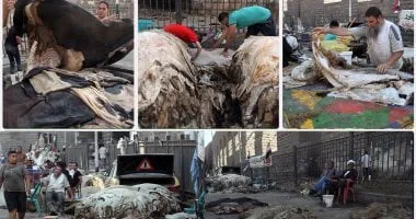 غرفة صناعة الجلود تشارك بـ 13 شركة في معرض الصين الدولي.. يونيو المقبل