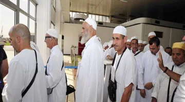 الرئيس التنفيذي لبعثة الحج: 6720 حاجًا من بعثة حج القرعة يصلون إلى المدينة المنورة