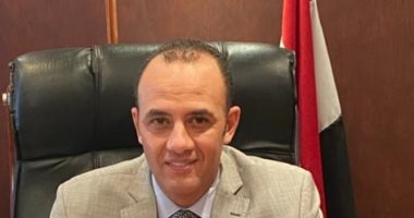 شعبة الدواجن: حظر تداول الفراخ الحية يحد من ارتفاع الأسعار