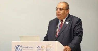 محيي الدين: التوجه المحلي والإقليمي هو الأفضل للتعامل مع التقلبات الجيوسياسية الراهنة