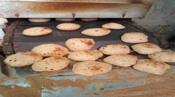 إصدار 11 محضرًا لمخالفات تموينية في كفر الشيخ