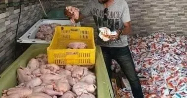 ضبط دواجن مجهولة المصدر غير صالحة للاستهلاك الآدمى فى المنوفية