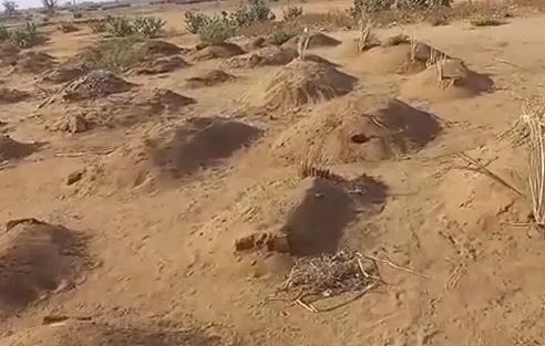 الجيش السوداني يكشف عن اكتشاف مقابر جماعية في أم درمان لأشخاص خطفهم قوات الدعم السريع. الجيش السوداني يكشف عن اكتشاف مقابر جماعية في أم درمان لأشخاص خطفهم قوات الدعم السريع.